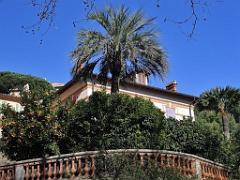 183 D23 BORMES LES MIMOSAS 1_000010